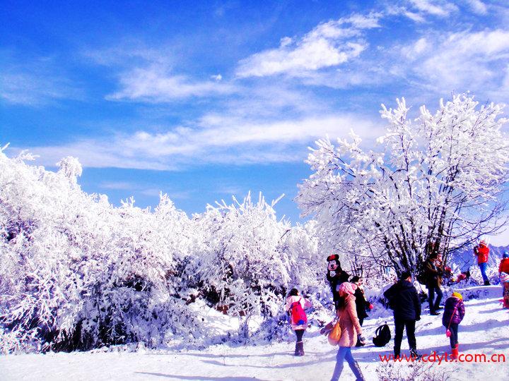 成都到西岭雪山纯玩一日游、西岭雪山旅游多少钱、西岭雪山旅游线路报价