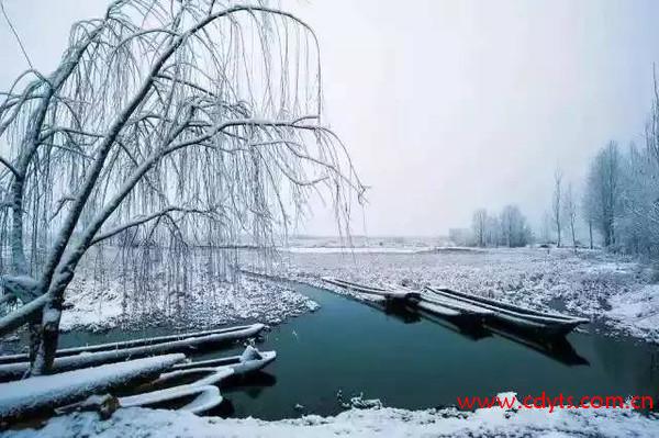 成都到泸沽湖多少公里