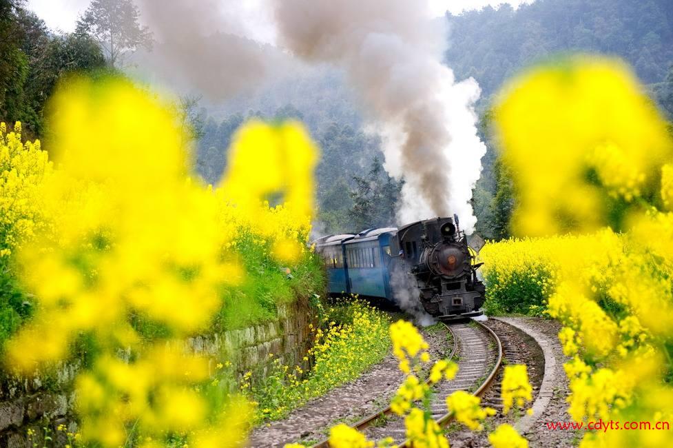 成都到嘉阳小火车、看油菜花VIP汽车一日游、嘉阳旅游多少钱、嘉阳旅游线路报价