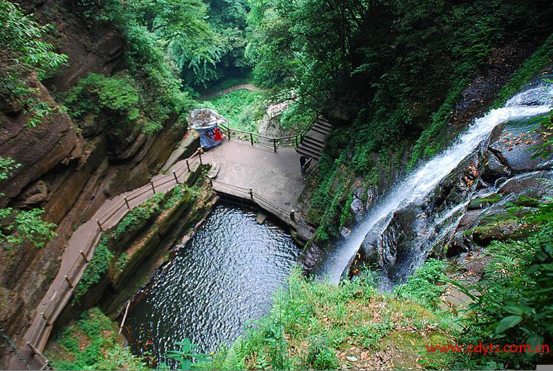 成都汽车站有去雅安碧峰峡的车吗、门票是多少钱