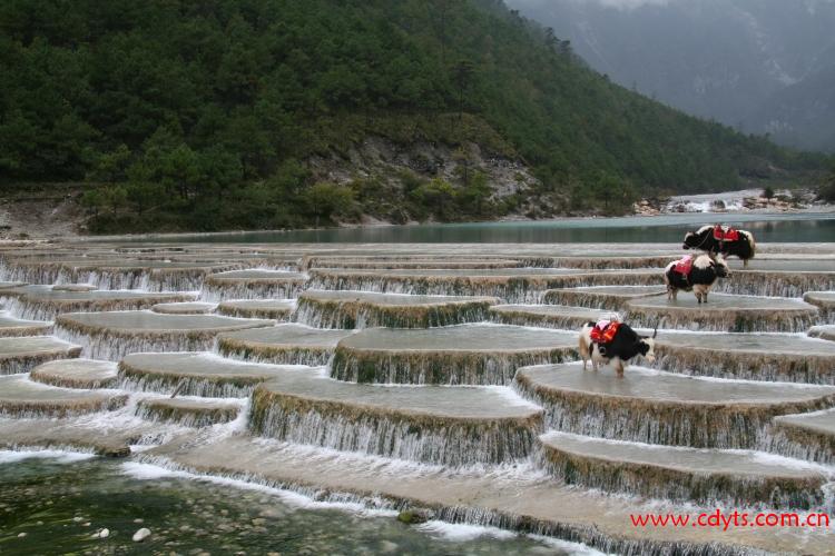 香格里拉白水台乘车路线、包车要多久