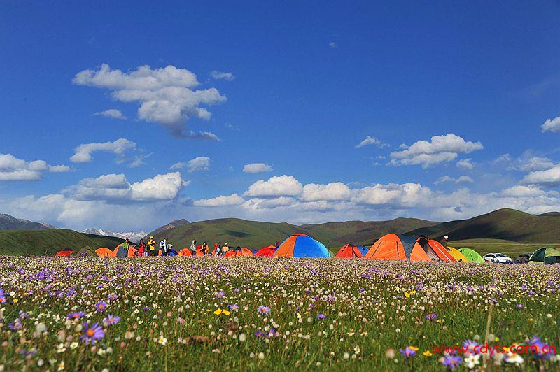 【星空牧场】成都到若尔盖大草原+月亮湾+花湖+河它温泉谷汽车纯玩三日游、若尔盖旅游多少钱、若尔盖旅游线路报价