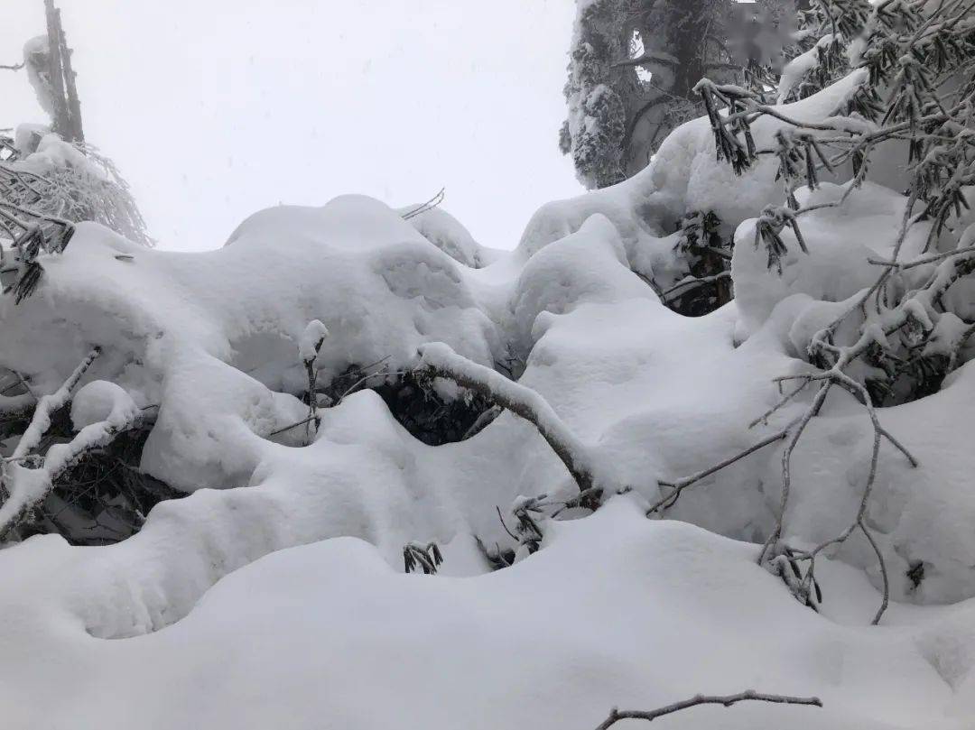 瓦屋山二日游跟团费用、瓦屋山跟团两天费用、瓦屋山旅游攻略哪个季节好玩