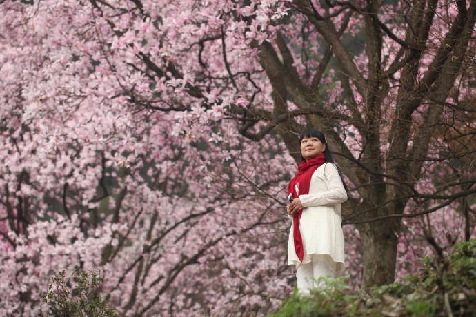 成都到花溪景+辛夷花纯玩一日游、花溪景一日游多少钱、花溪景旅游团一日游报价