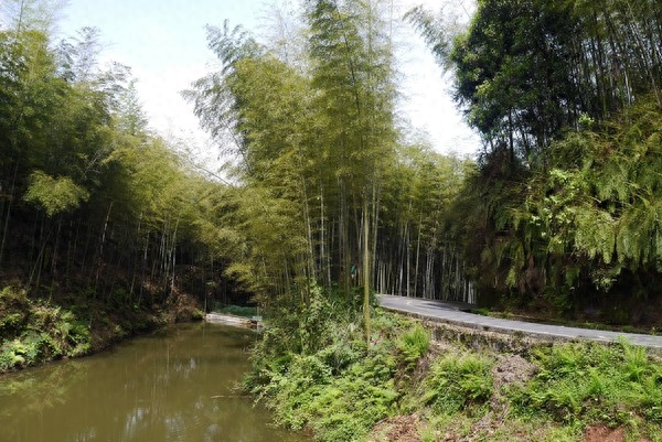 蜀南竹海三日游价格是多少、蜀南竹海跟团三日游最佳路线