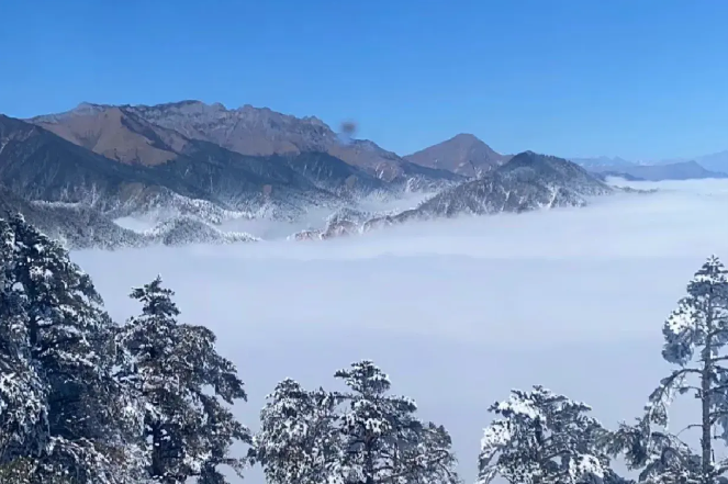 去西岭雪山住哪里比较方便、去西岭雪山住什么酒店比较好