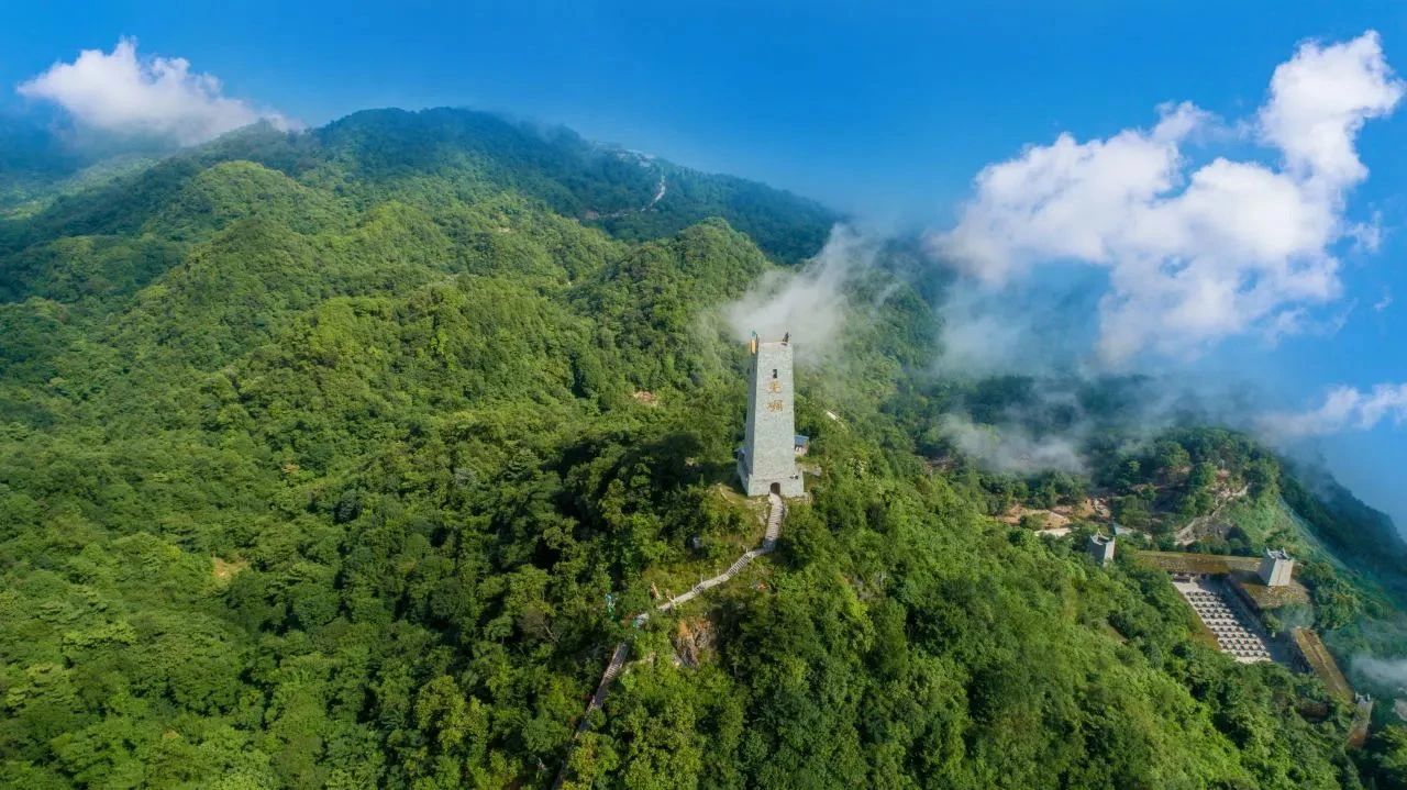 九皇山上有哪些酒店（九皇山景区内酒店有哪些）