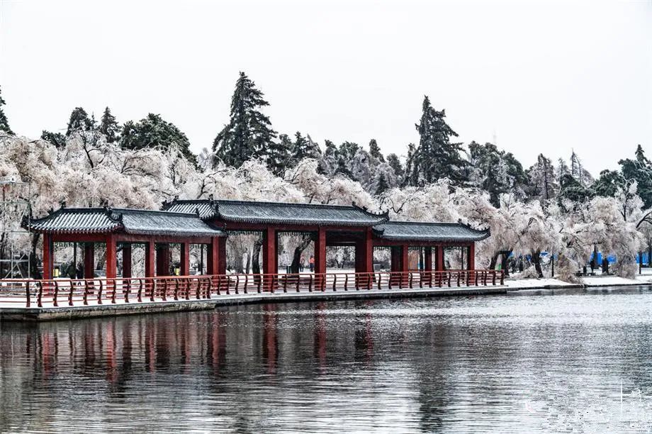 成都到长春旅游跟团价格（成都到东北旅游多少钱）