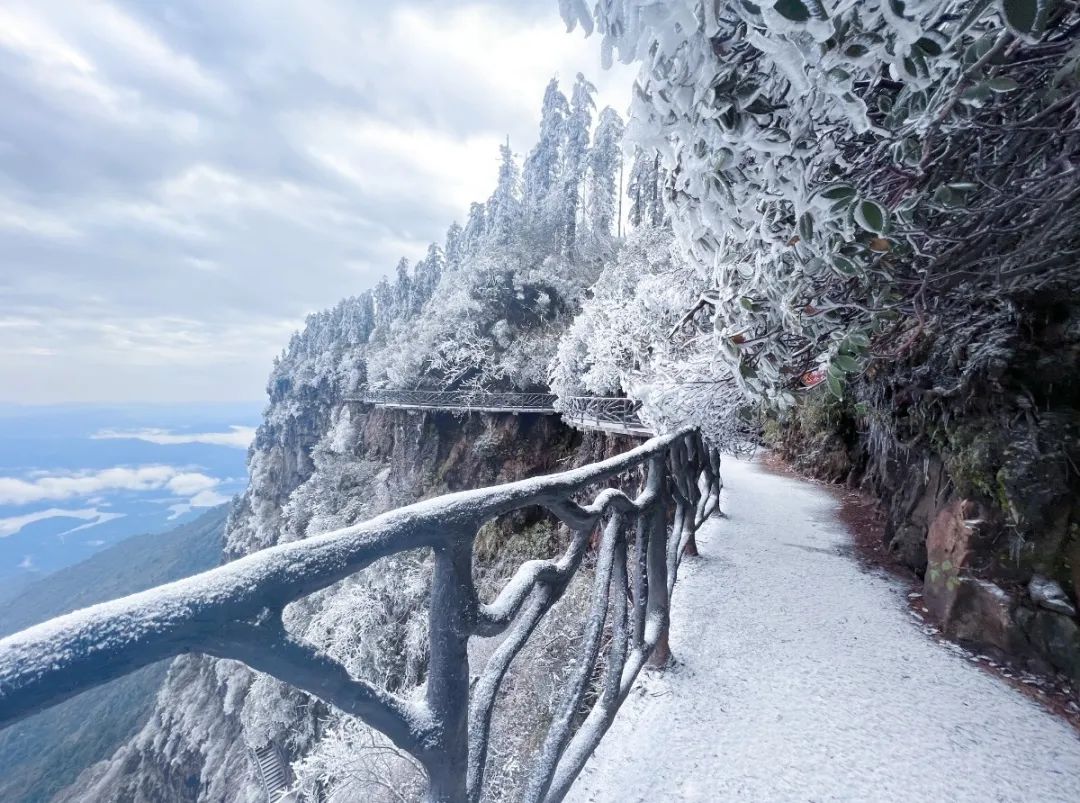 瓦屋山索道多少钱（瓦屋山索道价格）