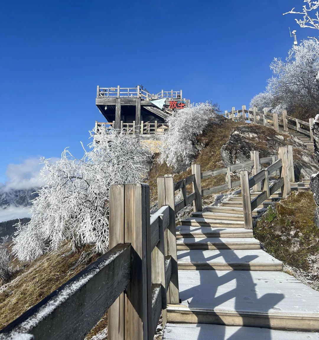 西岭雪山一日游报团多少钱（西岭雪山一日游游玩时间够吗）